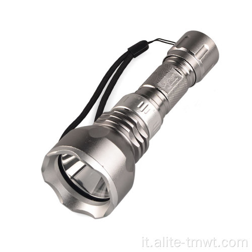 IP68 Luce per immersione in rovina con torcia impermeabile